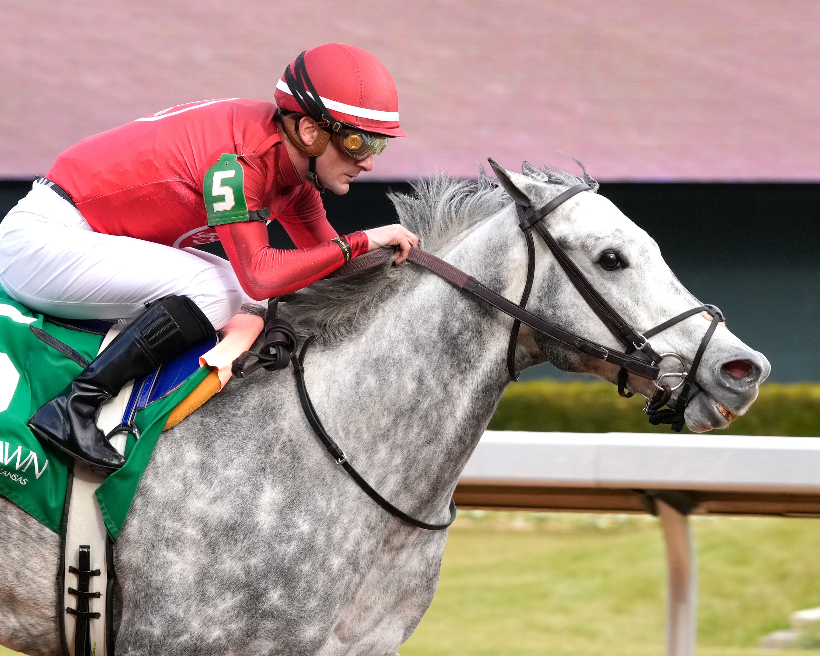 Zenyatta Loses 2021 Foal by Candy Ride - BloodHorse