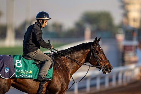 Wide-Open Yasuda Kinen offers Breeders' Cup Mile Bid