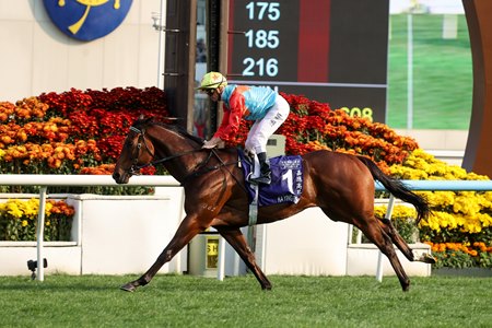 Ka Ying Rising wins the Queen’s Silver Jubilee Cup at Sha Tin Racecourse