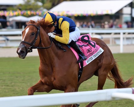 Sister Troienne is the 6-5 morning-line favorite for the Valley View Stakes at Keeneland