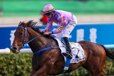 Little Paradise wins the Hong Kong Classic Mile at Sha Tin Racecourse