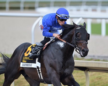 Knightsbridge wins the Gulfstream Park Mile Stakes at Gulfstream Park