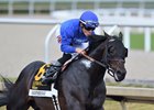 Knightsbridge wins the 2026 Gulfstream Park Mile Stakes at Gulfstream Park