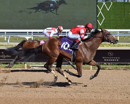High Camp will stretch out to 1 1/8 miles in the Virginia Derby, which is contested at one turn at Colonial Downs