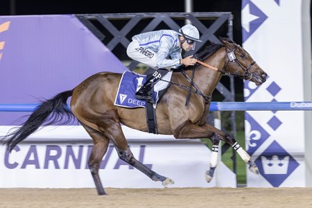 Labwah romps in the UAE Oaks at Meydan Racecourse