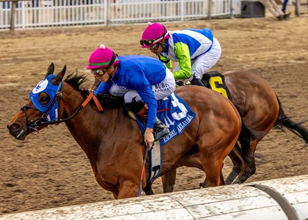 Bella Ballerina wins the Rachel Alexandra Stakes at Fair Grounds Race Course & Slots
