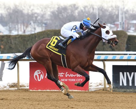 Talk to Me Jimmy wins the Withers Stakes at Aqueduct Racetrack