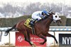 Talk to Me Jimmy wins the Withers Stakes at Aqueduct Racetrack