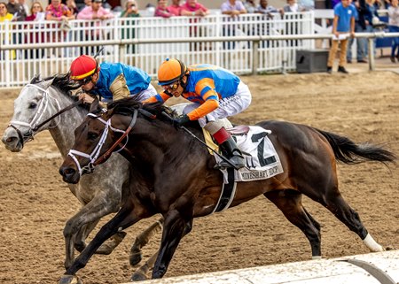 Hit Show (outside) edges Accelerize in Mineshaft Stakes at Fair Grounds Race Course
