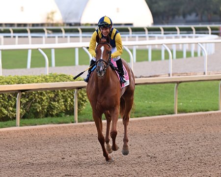 Gutierrez aboard Sister Troienne after taking the Sweetest Chant Stakes