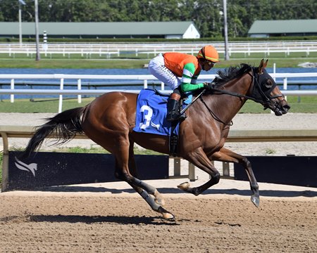 Snowyte wins an allowance optional claiming race at Gulfstream Park