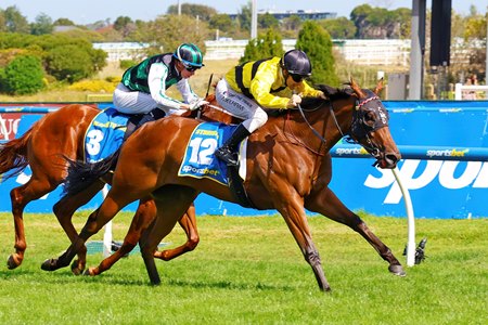 Streisand wins the Blue Diamond Stakes at Caulfield Racecourse
