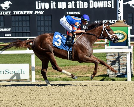 Zany wins the Suncoast Stakes at Tampa Bay Downs