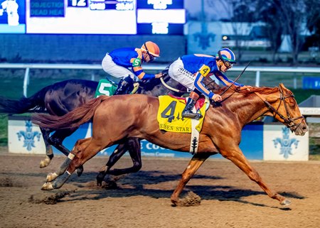 Paladin rallies past Chip Honcho in the Risen Star Stakes at Fair Grounds Race Course