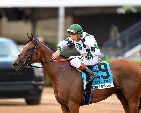 Lush Lips and Tyler Gaffalione after winning the Honey Fox Stakes at Gulfstream Park