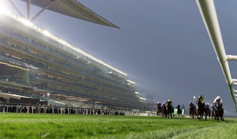 Entries for 2026 Dubai World Cup Card