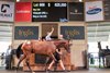 2026 Inglis Classic Yearling Sale, Lot 668