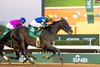 Imagination and Flavien Prat win the G2 Riyadh Dirt Sprint, 2/14/26, King Abdulaziz Racecourse, Riyadh, Saudi Arabia, Mathea Kelley-JCSA