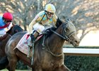 Silent Tactic wins the 2026 Southwest Stakes at Oaklawn Park
