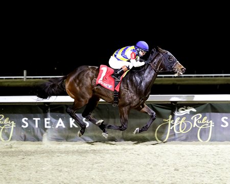 Resplendence wins the Cincinnati Trophy Stakes at Turfway Park