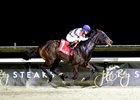 Resplendence wins the 2026 Cincinnati Trophy Stakes at Turfway Park
