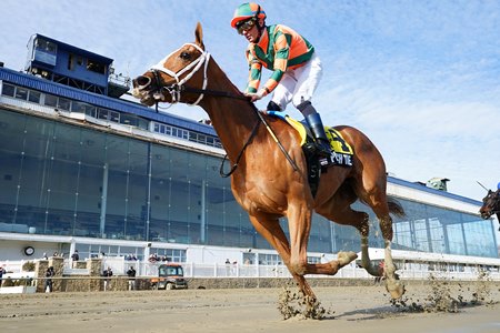 Peach Tie wins the Miss Preakness Stakes at Laurel Park