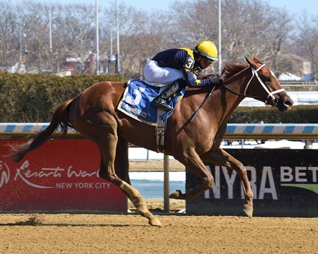 Paradise wins the Busher Stakes at Aqueduct Racetrack