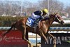 Paradise wins the 2026 Busher Stakes at Aqueduct Racetrack