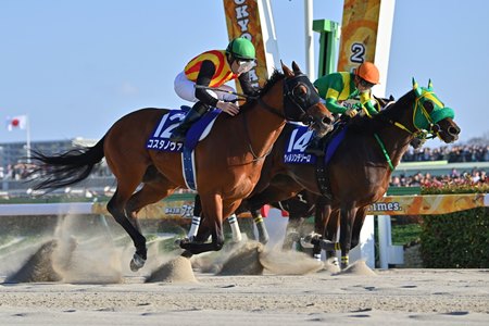 Costa Nova (outside) wins the February Stakes at Tokyo Racecourse