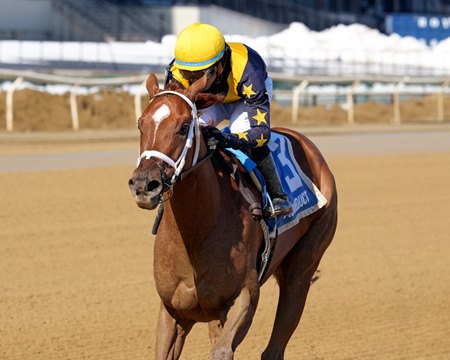 Paradise wins the Busher Stakes at Aqueduct Racetrack