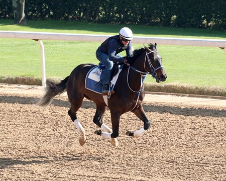 Blackout Time trains at Oaklawn Park before the Rebel Stakes