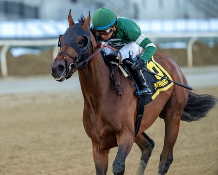 Iron Honor wins the Gotham Stakes at Aqueduct Racetrack