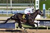 Easterly, Maiden Win, Gulfstream Park, February 7 2026