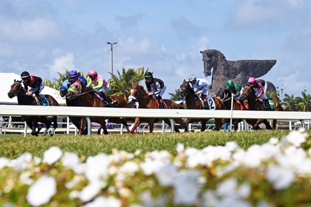 Legislation that would decouple Gulfstream Park racing from its casino have many in the industry thinking about such relationships