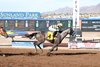 Bottle of Rouge wins the 2026 Sunland Park Oaks at Sunland Park