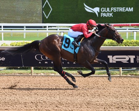 Lincoln's Law breaks his maiden at Gulfstream Park