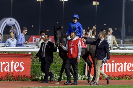 Rebel's Romance following his Dubai City of Gold victory at Meydan Racecourse