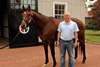Antony Beck with Afleet Alex, one of his favorite horses, in the stallion complex of Gainesway Farm in Lexington, Ky. on June 22, 2007.
Origs2 image7
Photo by Anne M. Eberhardt