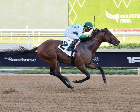 Jack's Promise wins the Gulfstream Park Sprint Stakes at Gulfstream Park