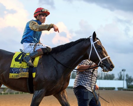 Commandment enters the Fountain of Youth Stakes winner's circle at Gulfstream Park