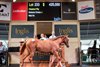 Lot 233, 2026 Inglis Classic Yearling Sale