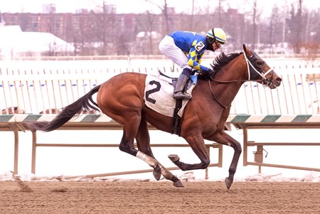 Taj Mahal wins a maiden special weight at Laurel Park
