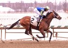 Taj Mahal, Maiden Win, Laurel Park, February 6 2026