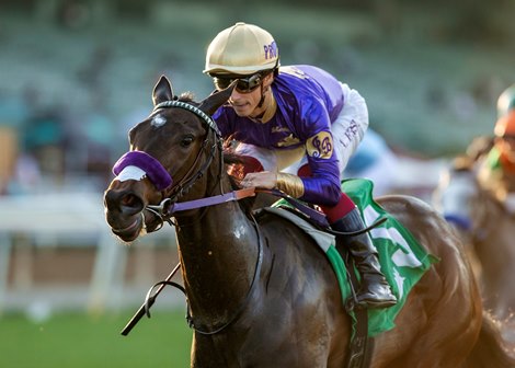 Light Won Up Headlines Senorita Stakes Field