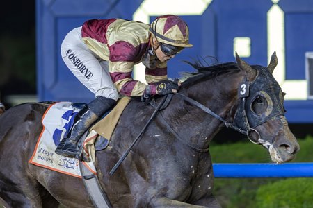 Brotherly Love wins the Dubai Road to the Kentucky Derby Stakes at Meydan Racecourse