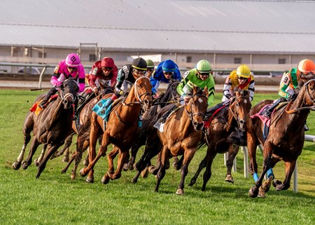 Racing at Fair Grounds