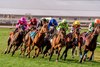 2-14-2026 Lagynos (Turquoise), with Jose Ortiz aboard, wins the 40th running of the grade III Fair Grounds Stakes at Fair Grounds Racecourse in New Orleans, LA. Hodges Photography / Jean Lozada
