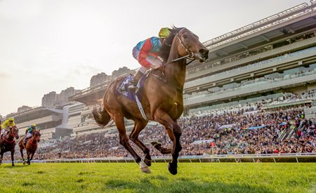 Ka Ying Rising wins the Queen’s Silver Jubilee Cup at Sha Tin Racecourse