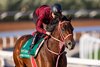 Forever Young at King Abdulaziz Racecourse, February 11, 2026