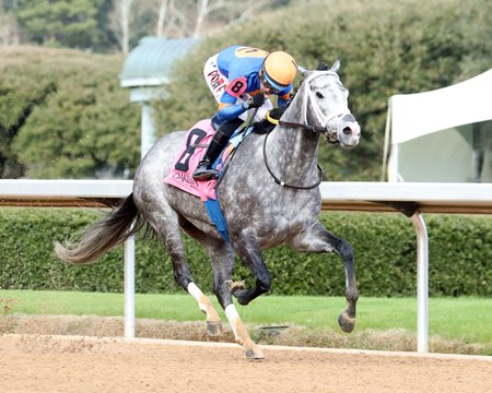 Haulin Ice wins the Downthedustyroad Breeders' Stakes at Oaklawn Park